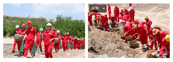 1688522705873968Zc9x.png 3db818f78ef5d7d2b2041686a0777f3.png